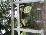 IMG_0864.jpg