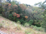 IMG_0870.jpg