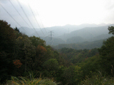 IMG_0872.jpg