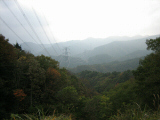 IMG_0875.jpg