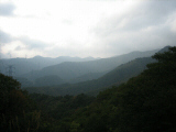 IMG_0876.jpg