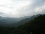 IMG_0877.jpg