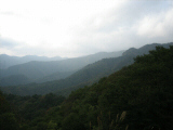 IMG_0878.jpg