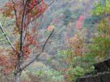 IMG_0881.jpg