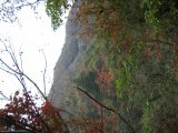 IMG_0882.jpg