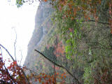 IMG_0883.jpg