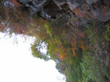 IMG_0885.jpg