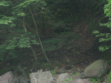 IMG_2762.jpg
