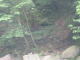 IMG_2763.jpg