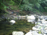 IMG_2766.jpg