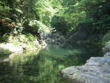 IMG_2769.jpg