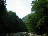 IMG_2771.jpg