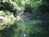 IMG_2772.jpg