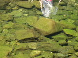 IMG_2782.jpg