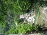 IMG_2784.jpg