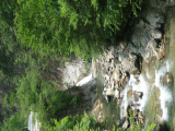 IMG_2785.jpg