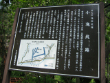 IMG_2794.jpg
