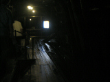 IMG_2813.jpg