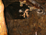 IMG_2823.jpg