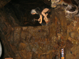 IMG_2824.jpg