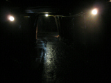 IMG_2827.jpg