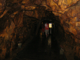IMG_2832.jpg