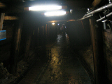 IMG_2836.jpg