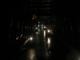 IMG_2839.jpg