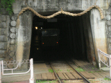 IMG_2842.jpg
