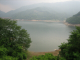 IMG_2843.jpg