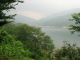 IMG_2845.jpg