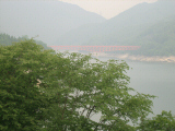 IMG_2847.jpg