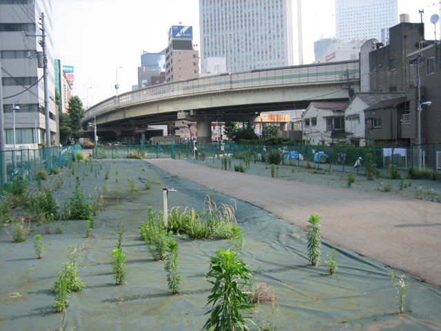 0606290668.jpg