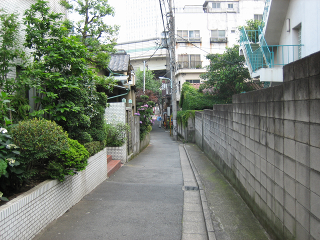 0606290673.jpg