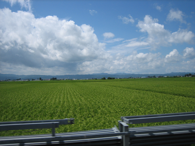 0708201288.jpg