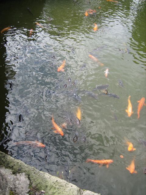 0708201303.jpg