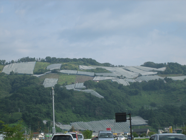 0708301369.jpg