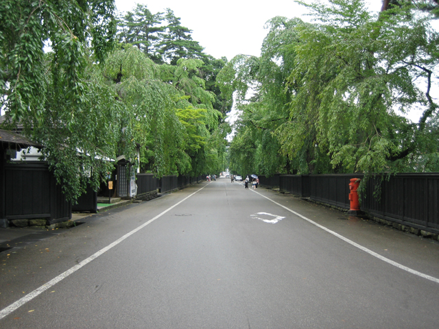 0708211399.jpg
