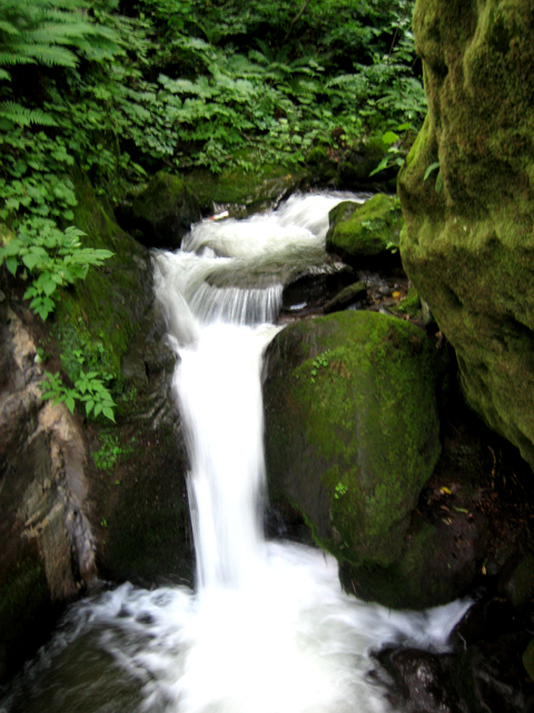 0708221428.jpg