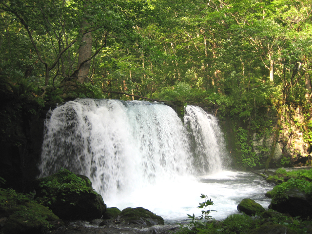 0708221429.jpg