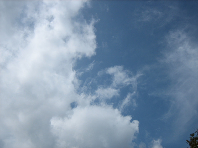 0708221436.jpg