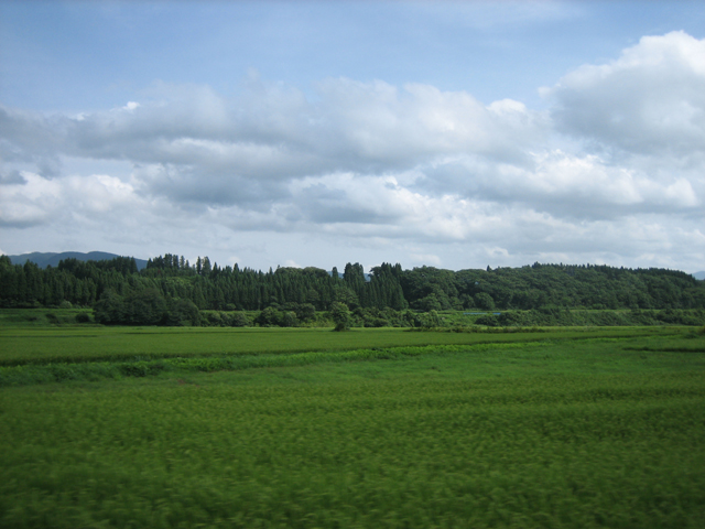 0708221444.jpg