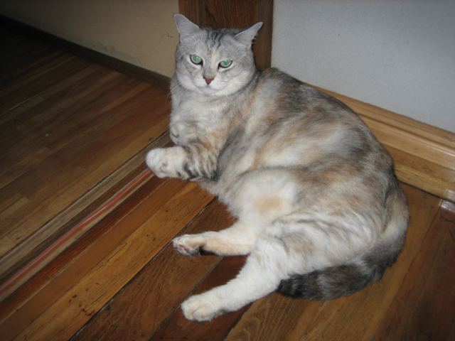 0708221451.jpg