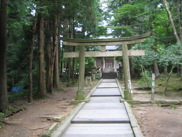 0708231470.jpg