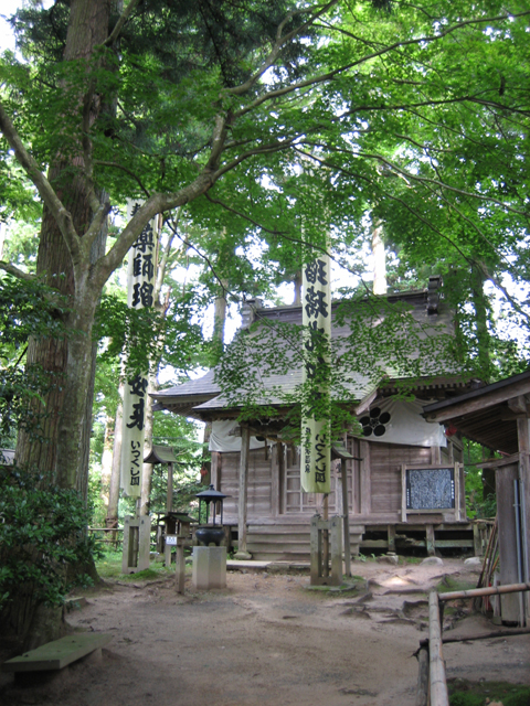 0708231479.jpg