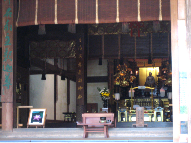 0708231489.jpg