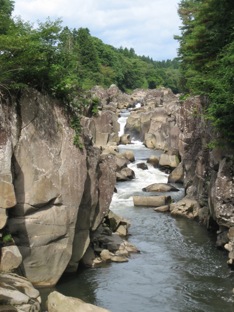 0708231511.jpg