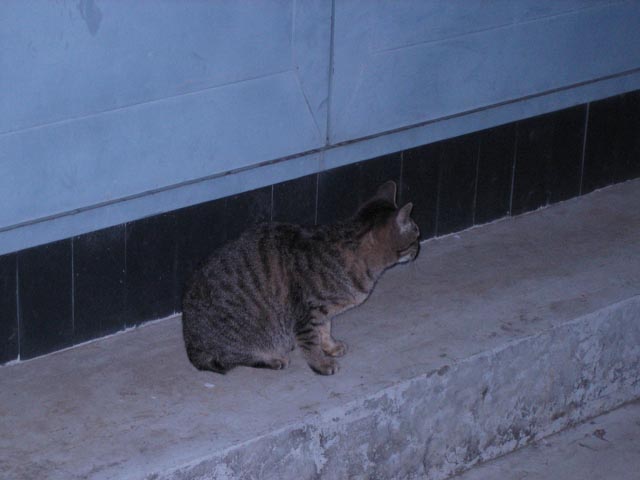 0804022332.jpg