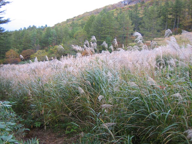 0810123277.jpg