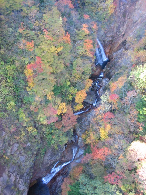0810133310.jpg